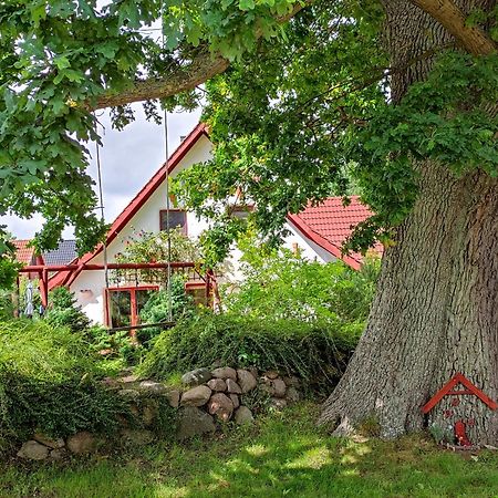 Apartament Haus Jasmin Bodstedt Zewnętrze zdjęcie
