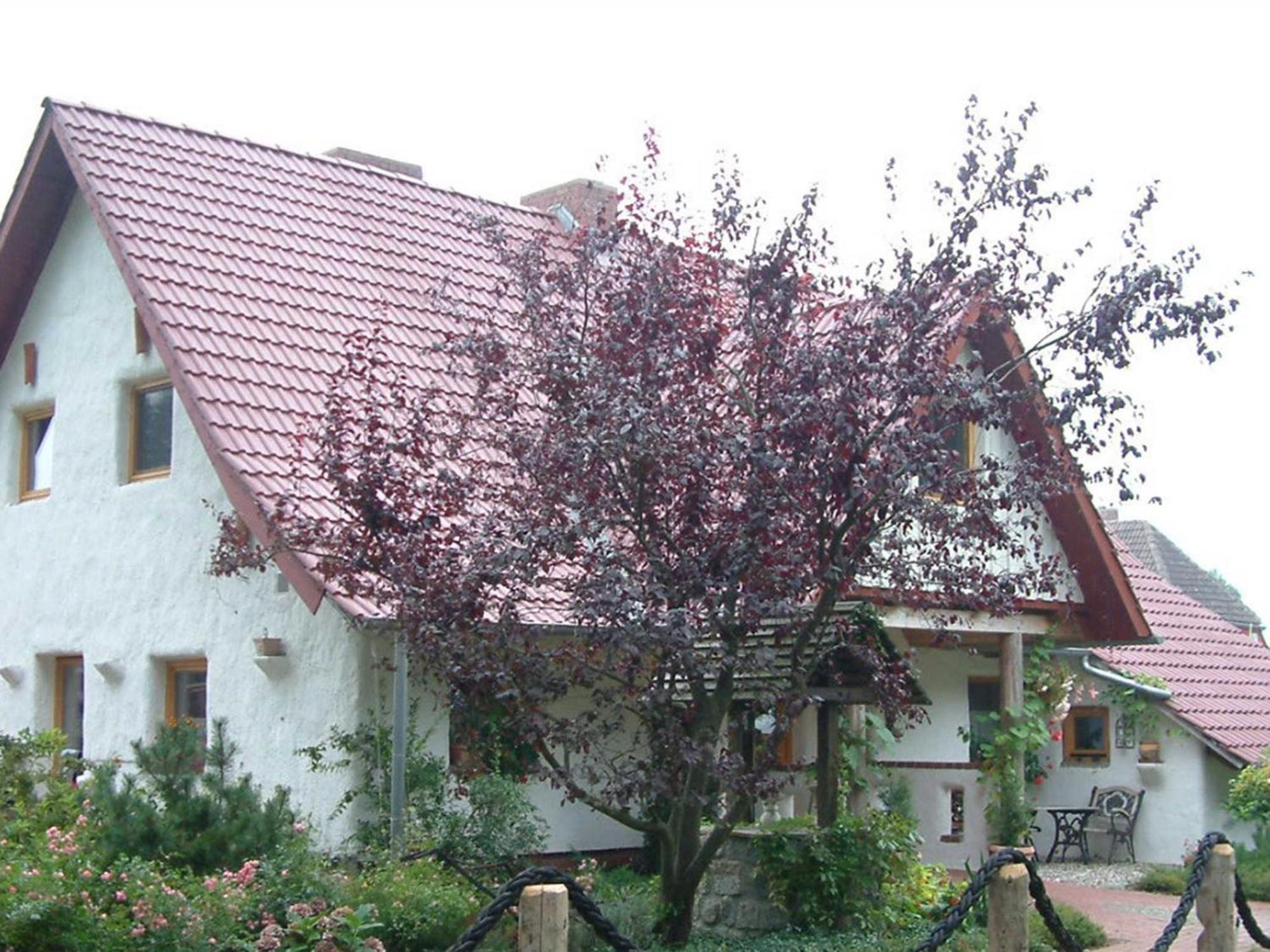 Apartament Haus Jasmin Bodstedt Zewnętrze zdjęcie
